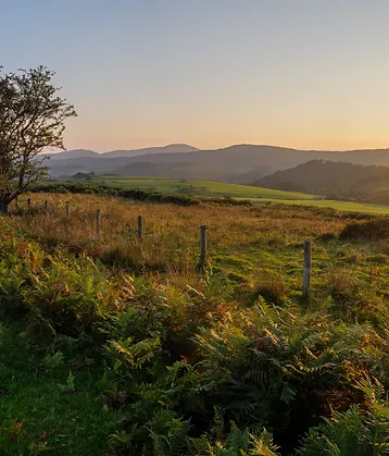 Scotland landscape at its best, photo of the Galloway hills in summer