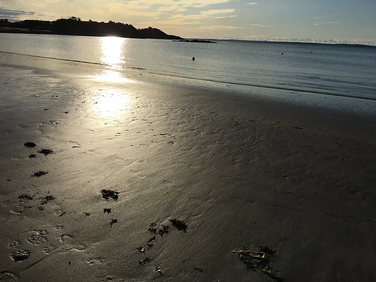 Sunset photo of the local beach