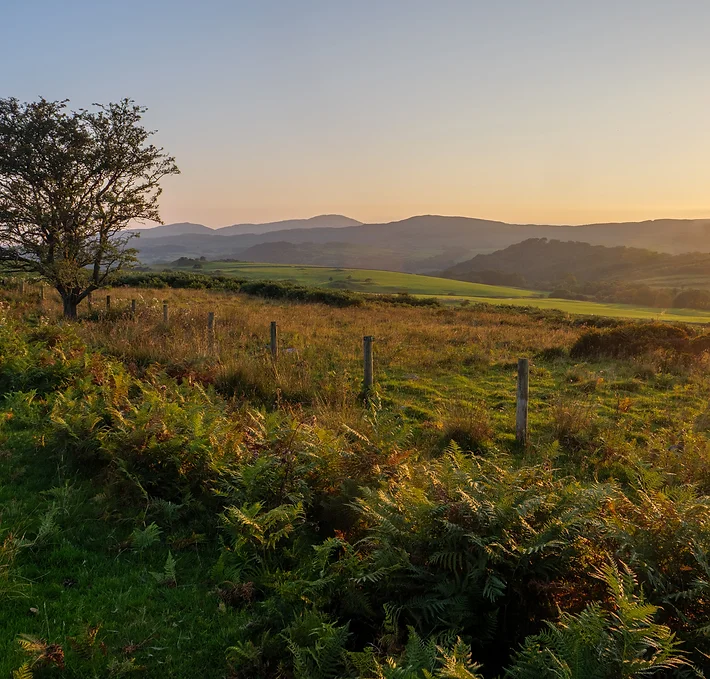 Breath taking vista of rolling hills stretching as far as the eye can see. Nature's masterpiece unfolds before you as you look at the landscape.