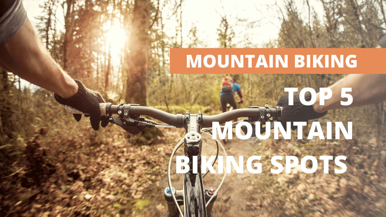 Top 5 Mountain Biking Spots Around Gatehouse of Fleet